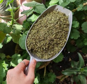 تصویر 1 از آویشن دنایی خوش‌ بو و خوش‌ طعم با کیفیت عالی